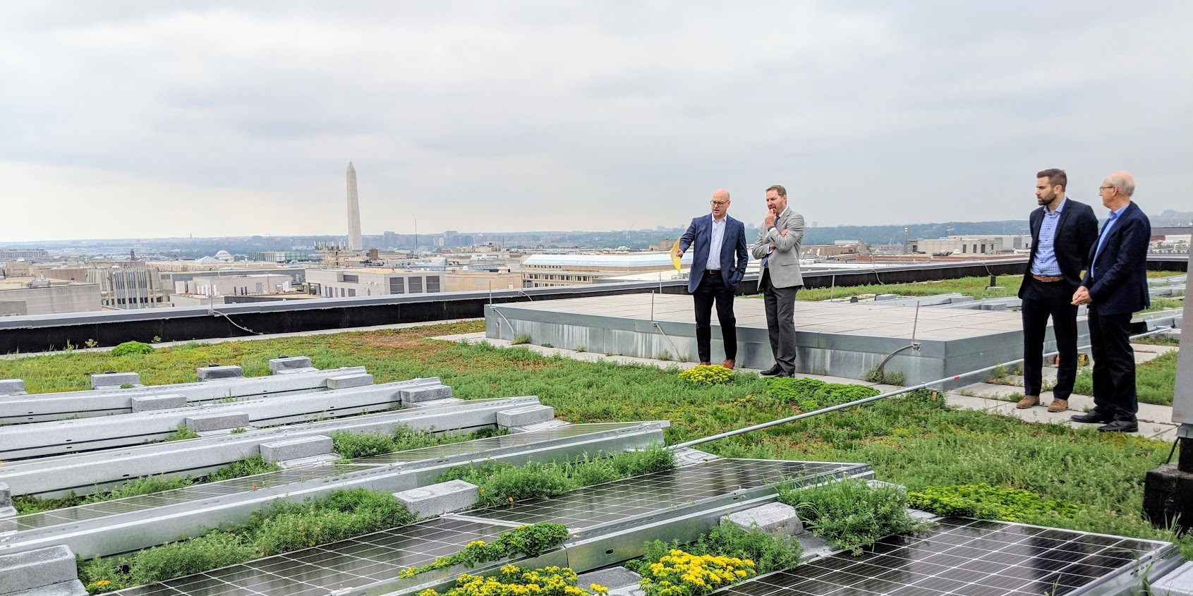 Four people are standing in groups of two on a rooftop covered in greenery and solar panels. The rooftop overlooks a city and a tower is in the back. The sky is overcast.
