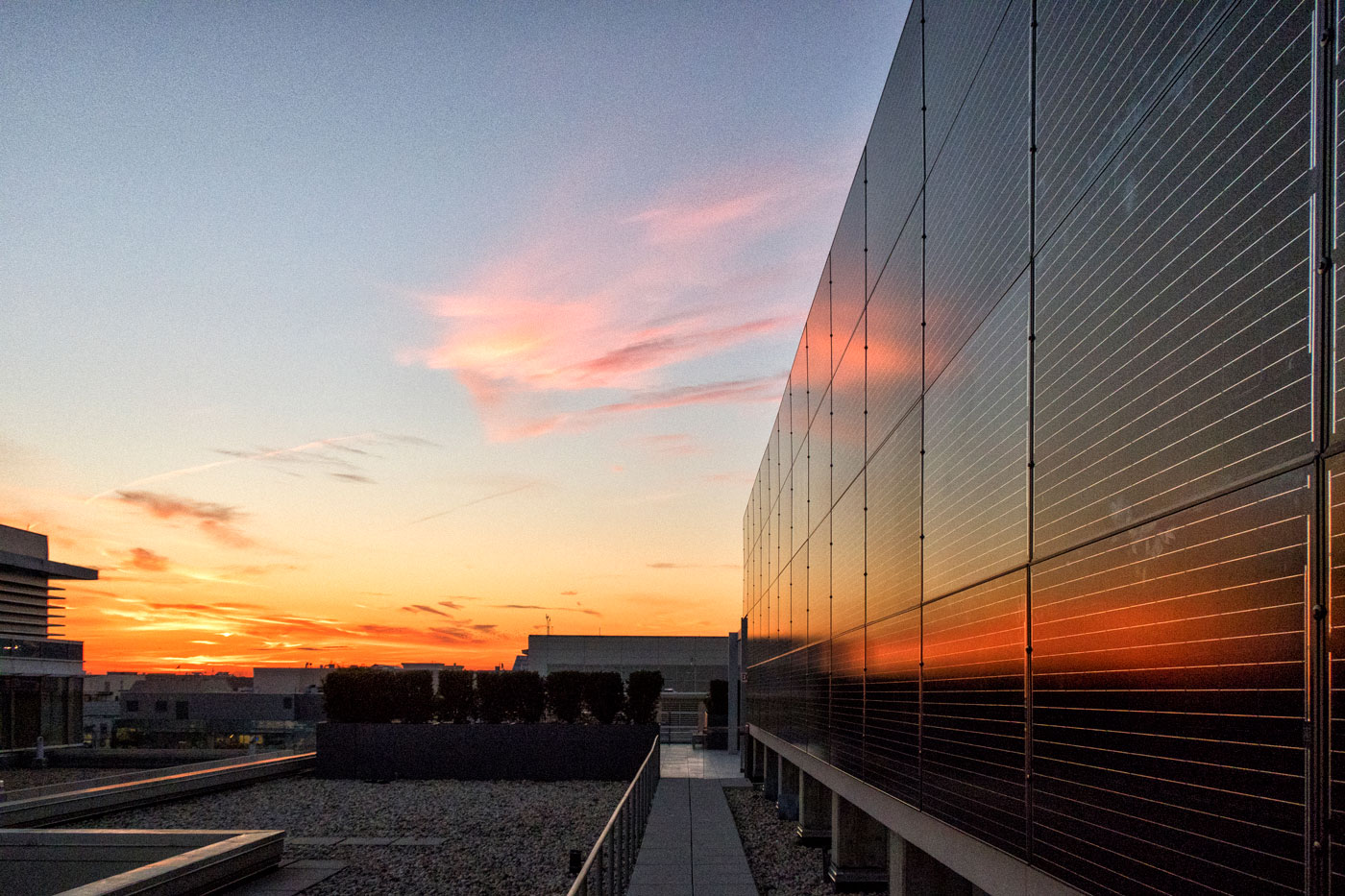 An outdoor sunset view of an upright vertical wall of solar panels on the right. There are streaks of clouds in the sky and the view overlooks buildings to the left.